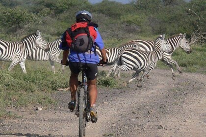 Kilimanjaro bike park safari