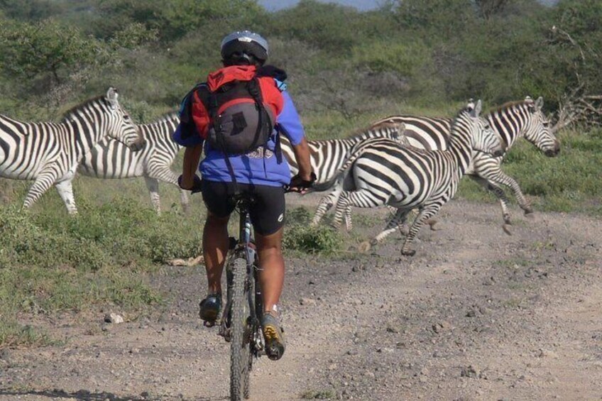 West kilimanjaro