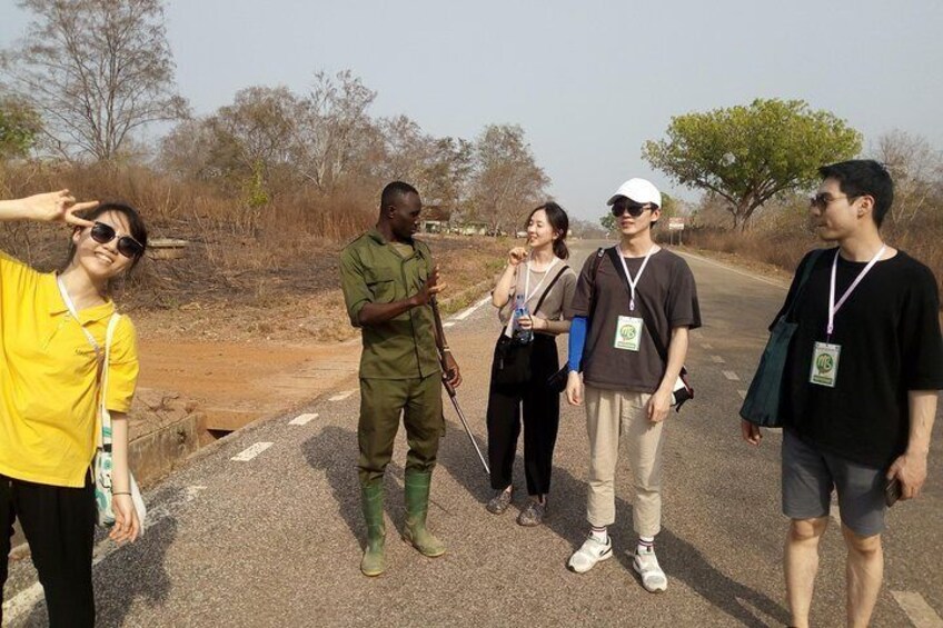 Walking Safari