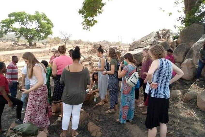 Day Trip from tamale-Mole National
