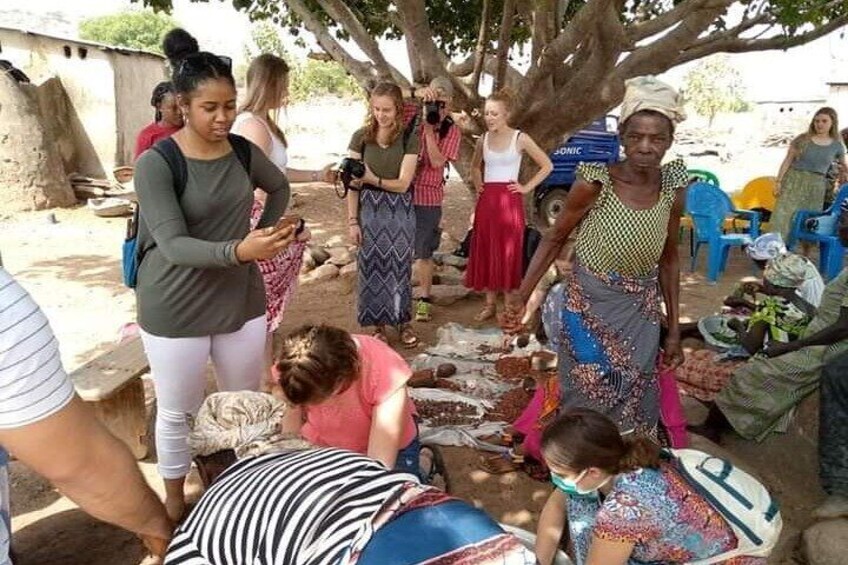 Day Trip from tamale-Mole National