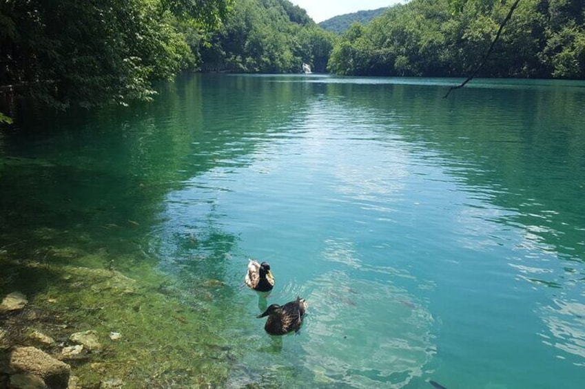 Plitvice Lakes Small Group Tour from Split or Trogir