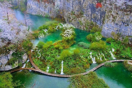 Plitvice Lakes Small Group Tour Ecco from Split or Trogir