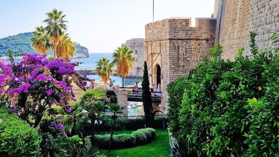 From Split/Trogir Small group tour to Dubrovnik with stop in Ston