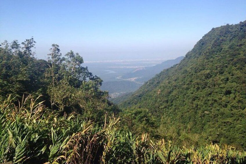 Atlantic Forest