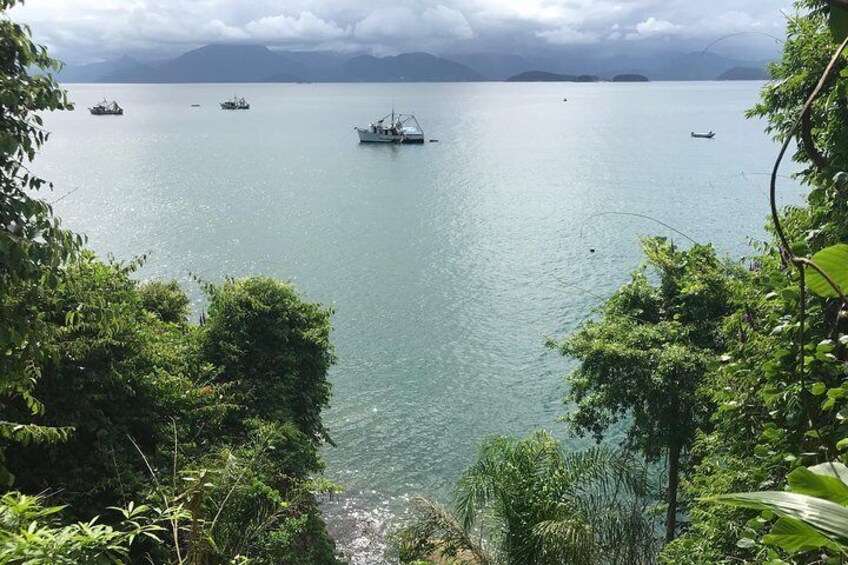 ilha das couves