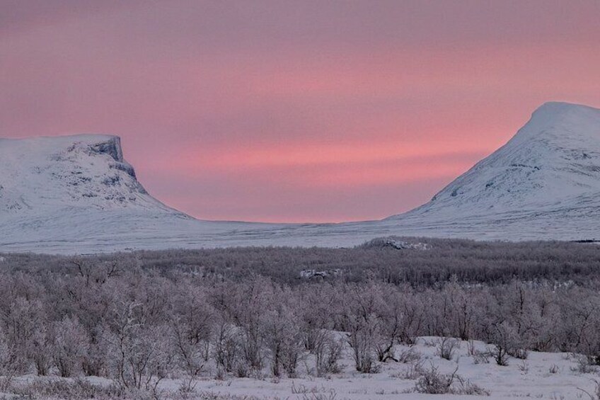 Morning hike in Abisko National Park