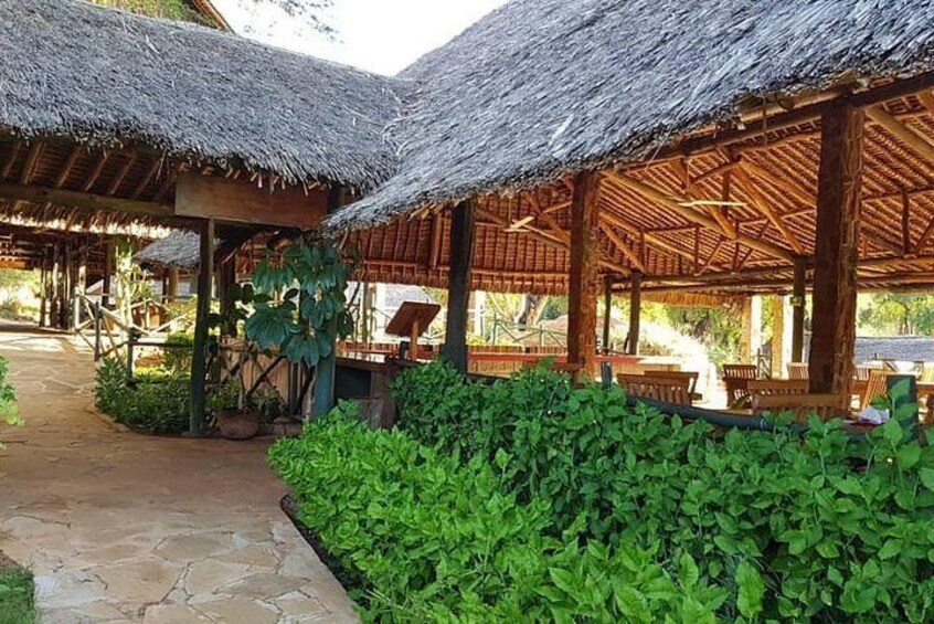 3 Days Tsavo East Panari Safari Package