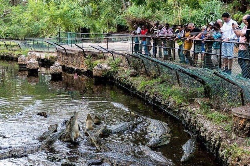 Wild Waters - Haller Park Day Excursion