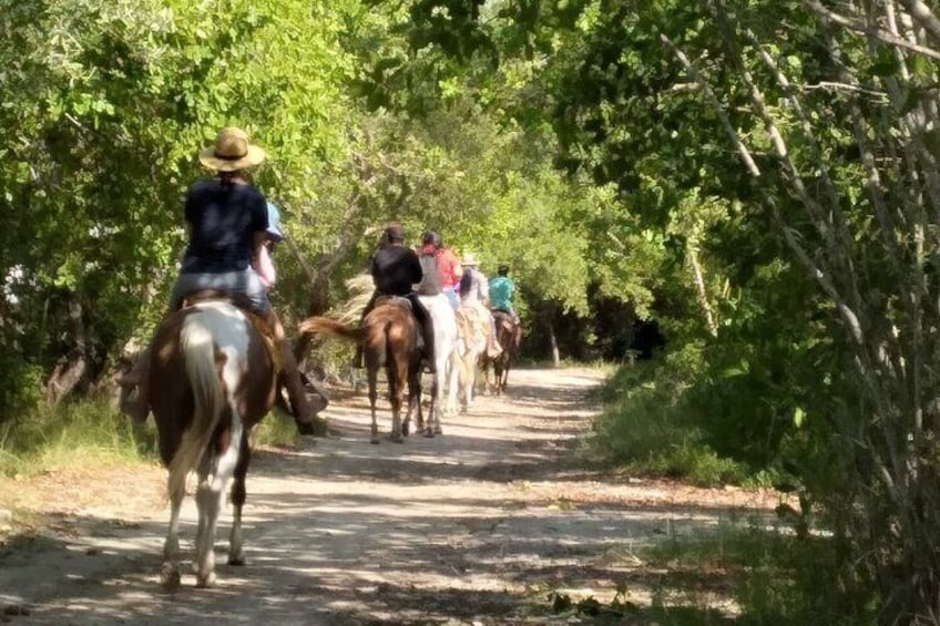 Holbox Horseback Riding in Nature Experience