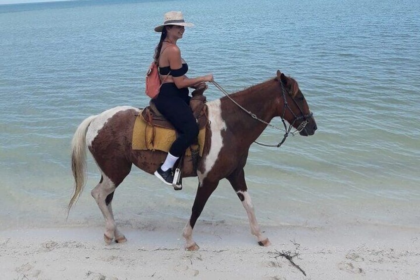 Holbox Horseback Riding on the Beach Experience