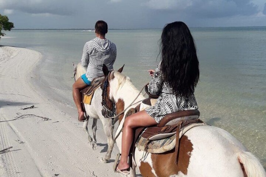 Holbox Horseback Riding on the Beach Experience