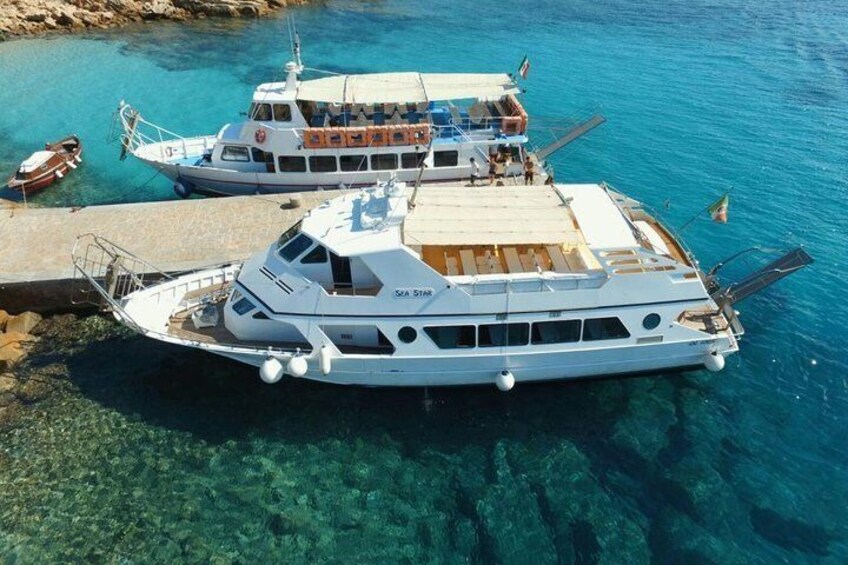 Navetta Sea Star