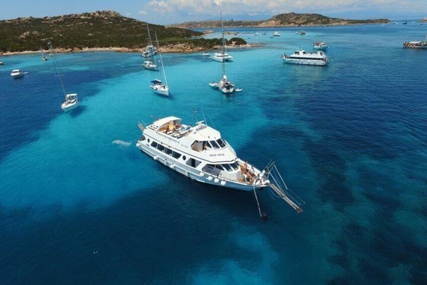 Navetta Sea Star