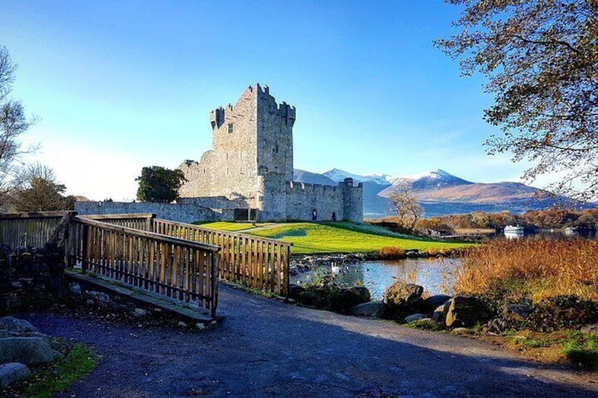 Killarney Jaunting Car Tour & Lily of Killarney Watercoach starts at Ross Castle