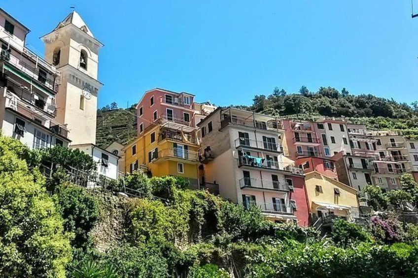 Show item 2 of 13. Get to know Manarola on a trip to the Cinque Terre