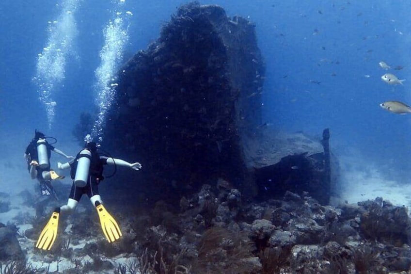 Aruba 2-Tank Dive Experience