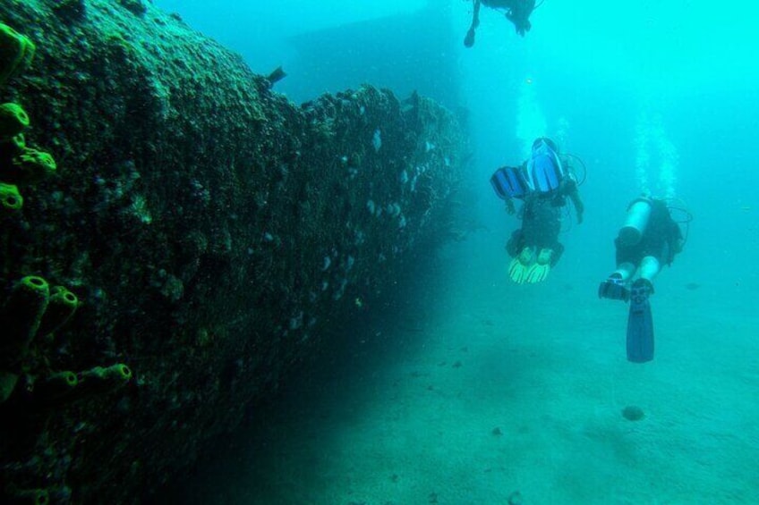 Aruba 2-Tank Dive Experience