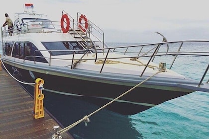 Snorkeling Manta Bay in Nusa Penida and Land Tour (inclusive)