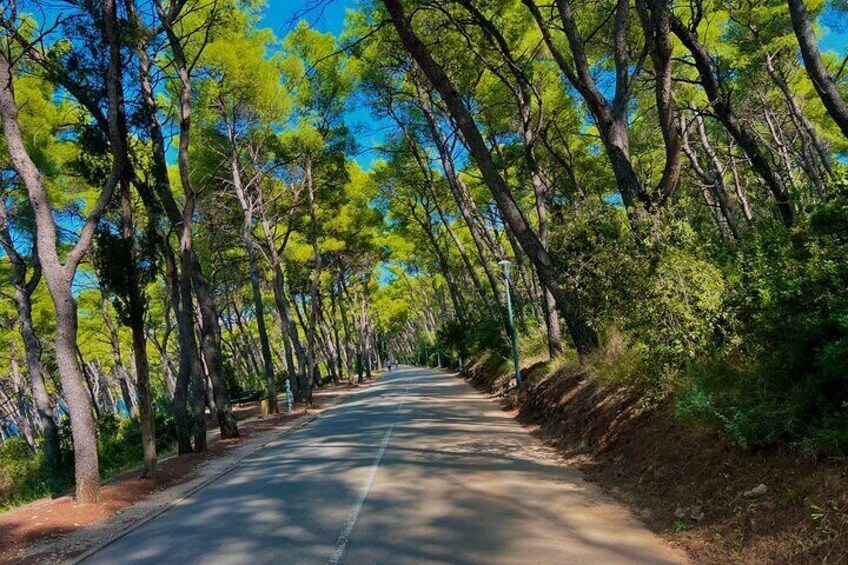 Ride trough Marjan Forest Park