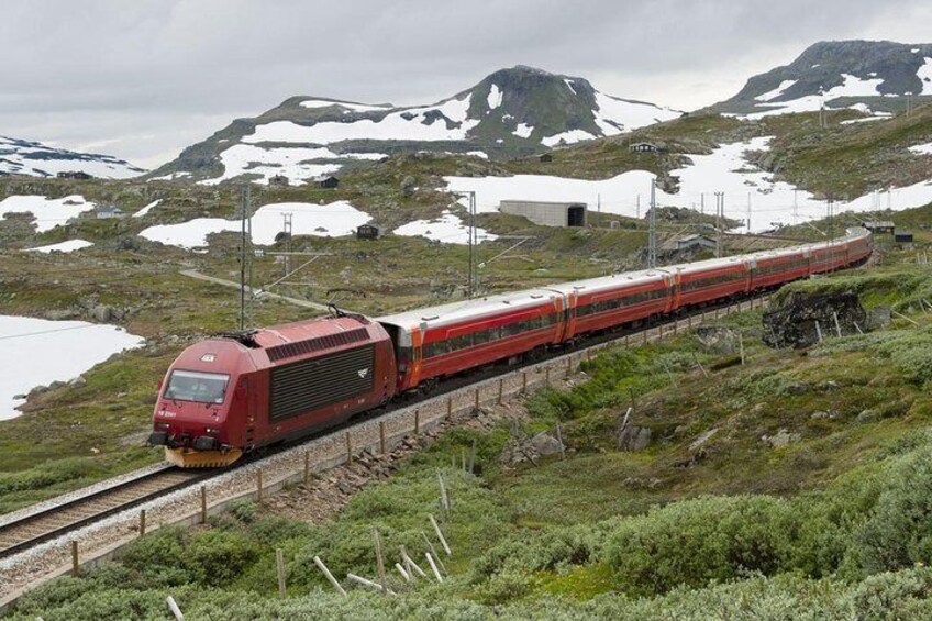 Private day tour Bergen To Oslo - incl Premium Fjord Cruise and Flåm Railway