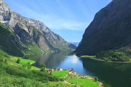 Private tour, Bergen to Oslo - Nærøyfjord Cruise & Flåm Railway