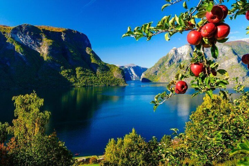 Private day tour Bergen To Oslo - incl Premium Fjord Cruise and Flåm Railway