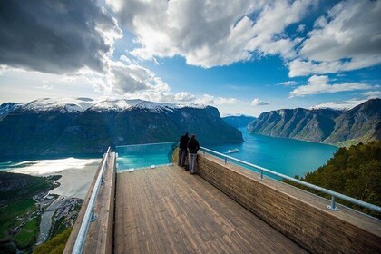 Private guided tour to Oslo - Nærøyfjord Cruise and Flåm Railway