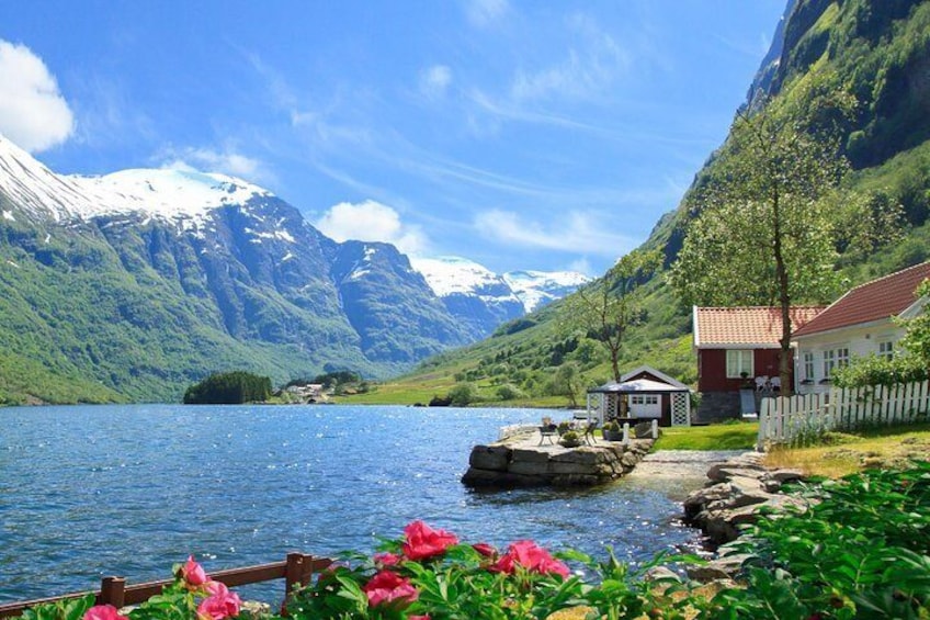 Private day tour Bergen To Oslo - incl Premium Fjord Cruise and Flåm Railway