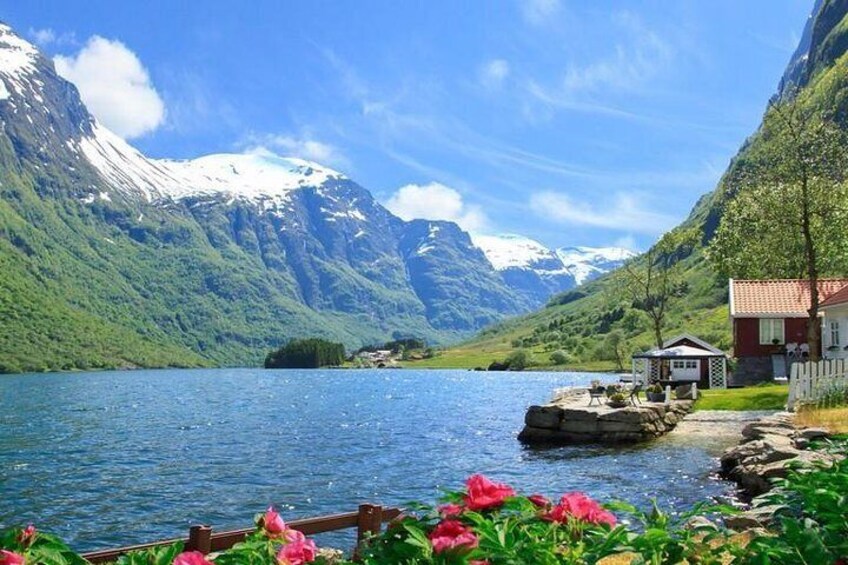 Private day tour to Flam - incl Premium Nærøyfjord Cruise and Flåm Railway