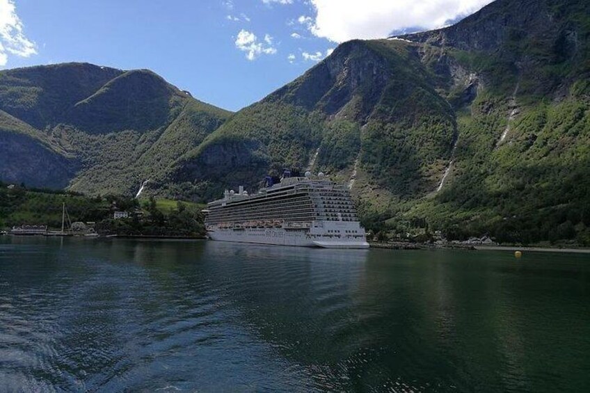 Private day tour to Flam - incl Premium Nærøyfjord Cruise and Flåm Railway