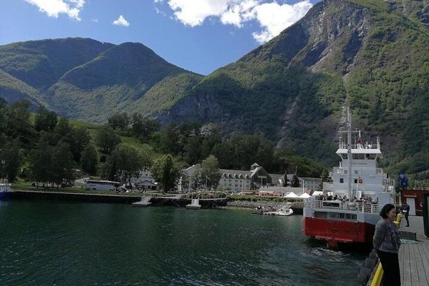 Private day tour to Flam - incl Premium Nærøyfjord Cruise and Flåm Railway
