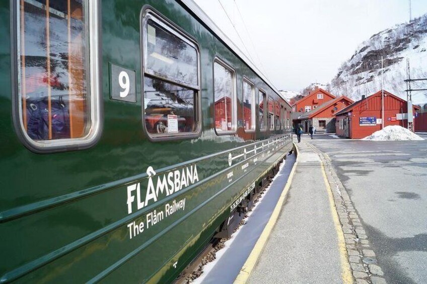 Private day tour to Flam - incl Premium Nærøyfjord Cruise and Flåm Railway