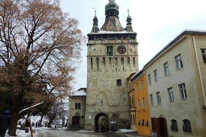 Day Trip to Sighisoara, Viscri and Rupea Fortress from Brasov