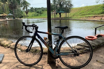 Cycling in the middle of Amazonia