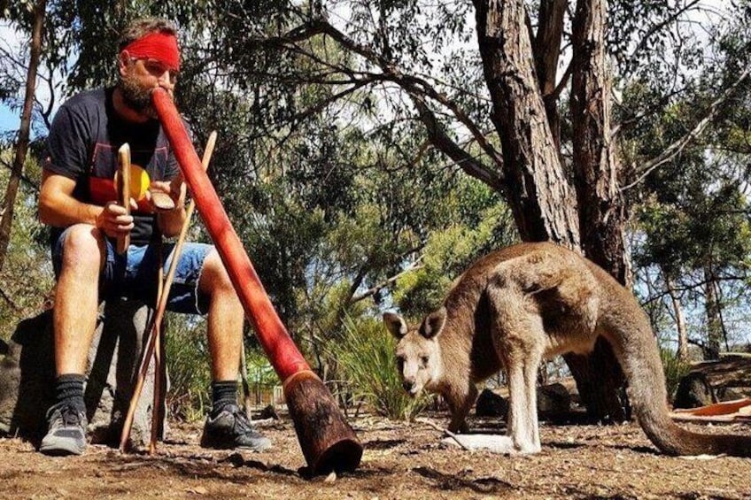 Narana Aboriginal Cultural Centre