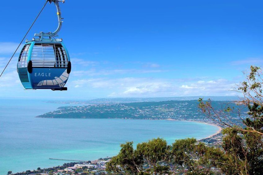 Arthurs Seat Eagle