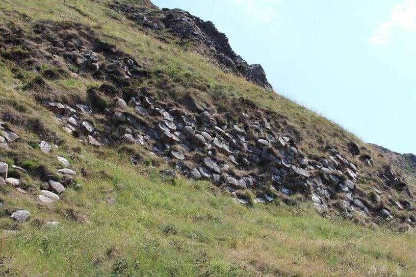 Small Group Giant's Causeway Day Tour from Belfast