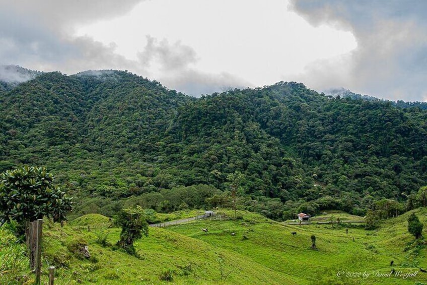 Boquete Private Panoramic Tour