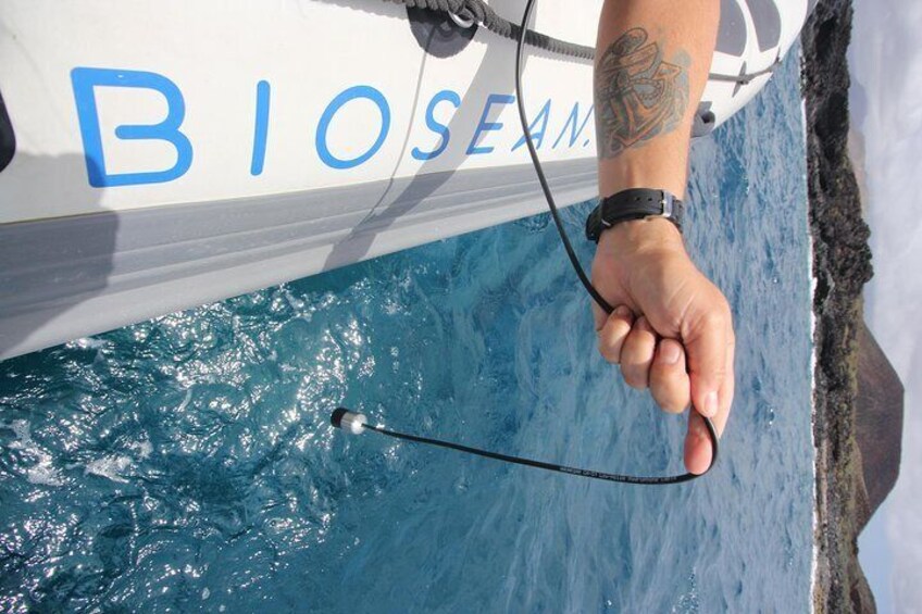 Hydrophone for listening the sounds of dolphins and whales 