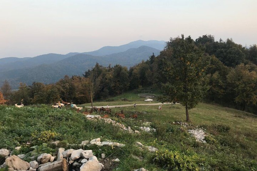 Ljubljana sunset hike