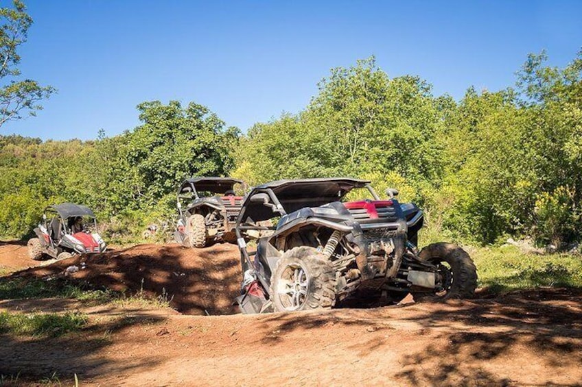Off Road Guided Buggy Tour in Srd Hill