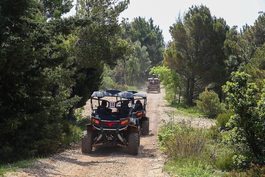 Off Road Guided Buggy Tour in Srd Hill
