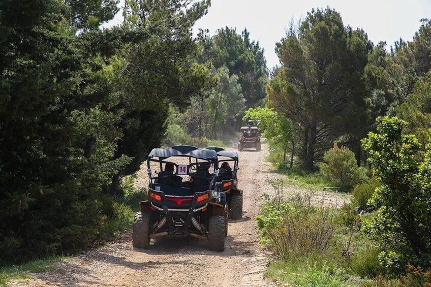 Off Road Guided Buggy Tour in Srd Hill