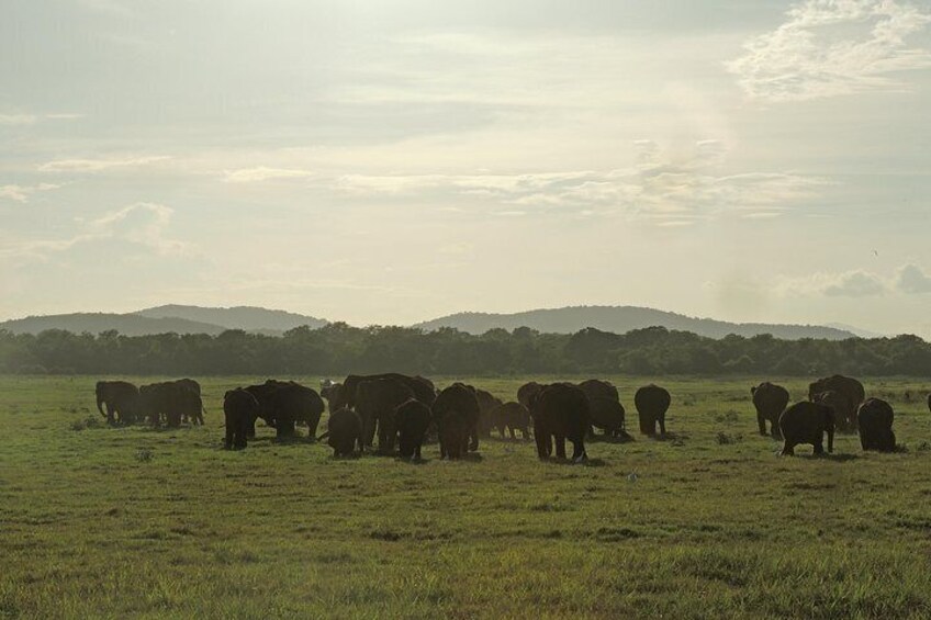 Kaudulla National Park