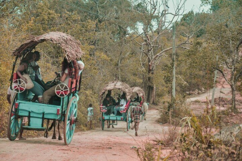 Sigiriya Village Tour