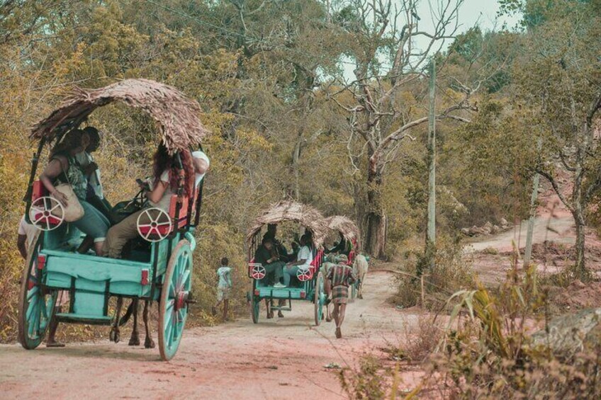 Sigiriya Village Tour