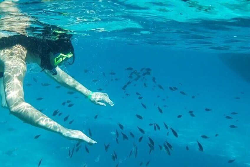 Blue Lagoon Cruise with sightseeing from Latchi harbour