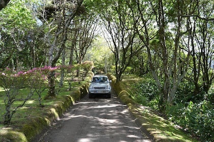8-Hour Private Tour in 4x4 Vehicle from Ponta Delgada