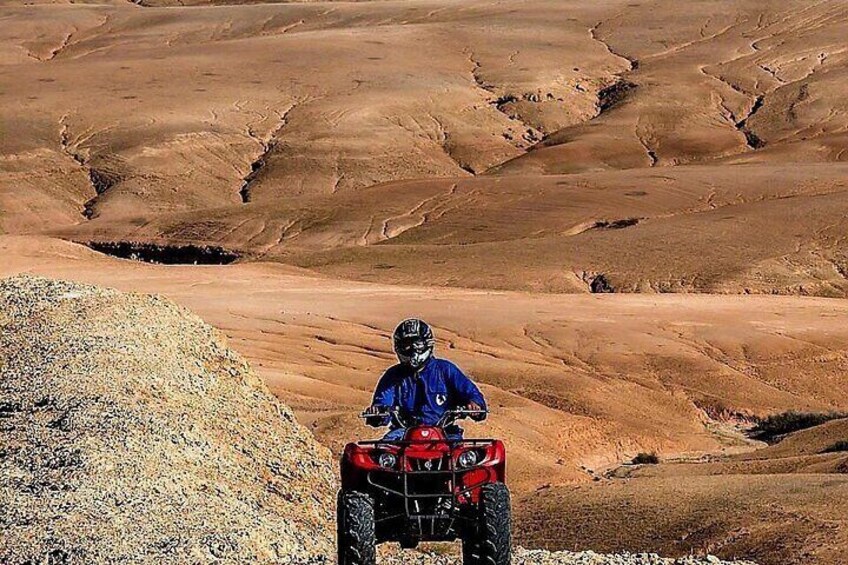 Marrakech: Quad & Camel Ride with Sunset, Dinner & Show VITO